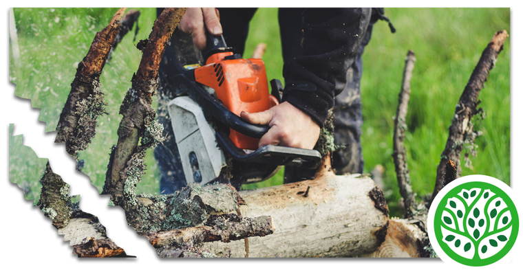 About Us | Jacoby Tree Services - Winchendon, MA