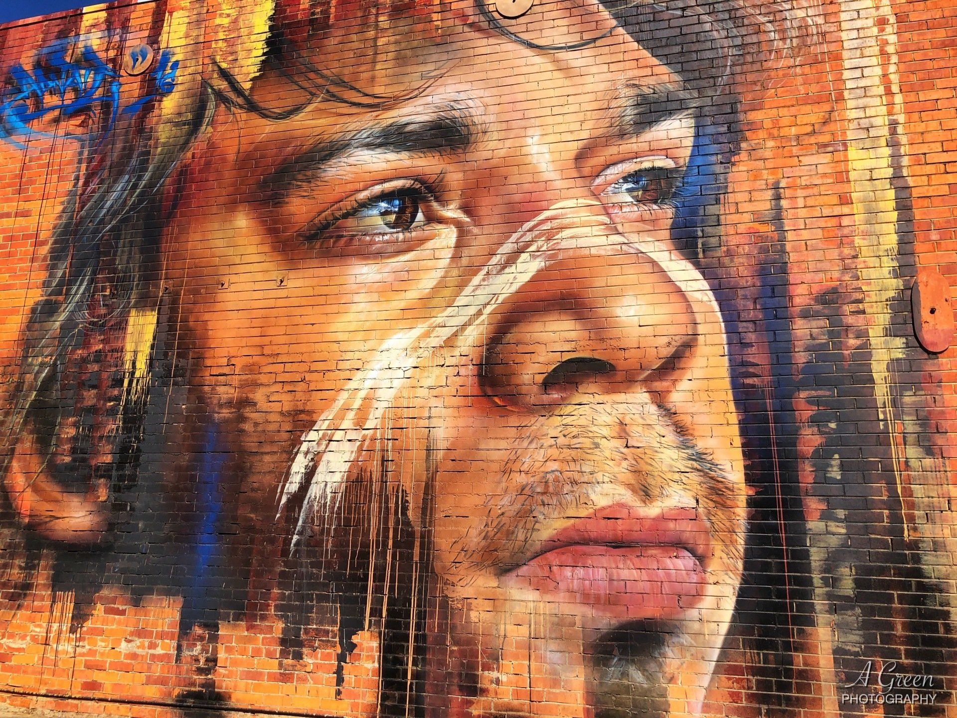 Australian Silo Art Trail, Benalla Wall to Wall