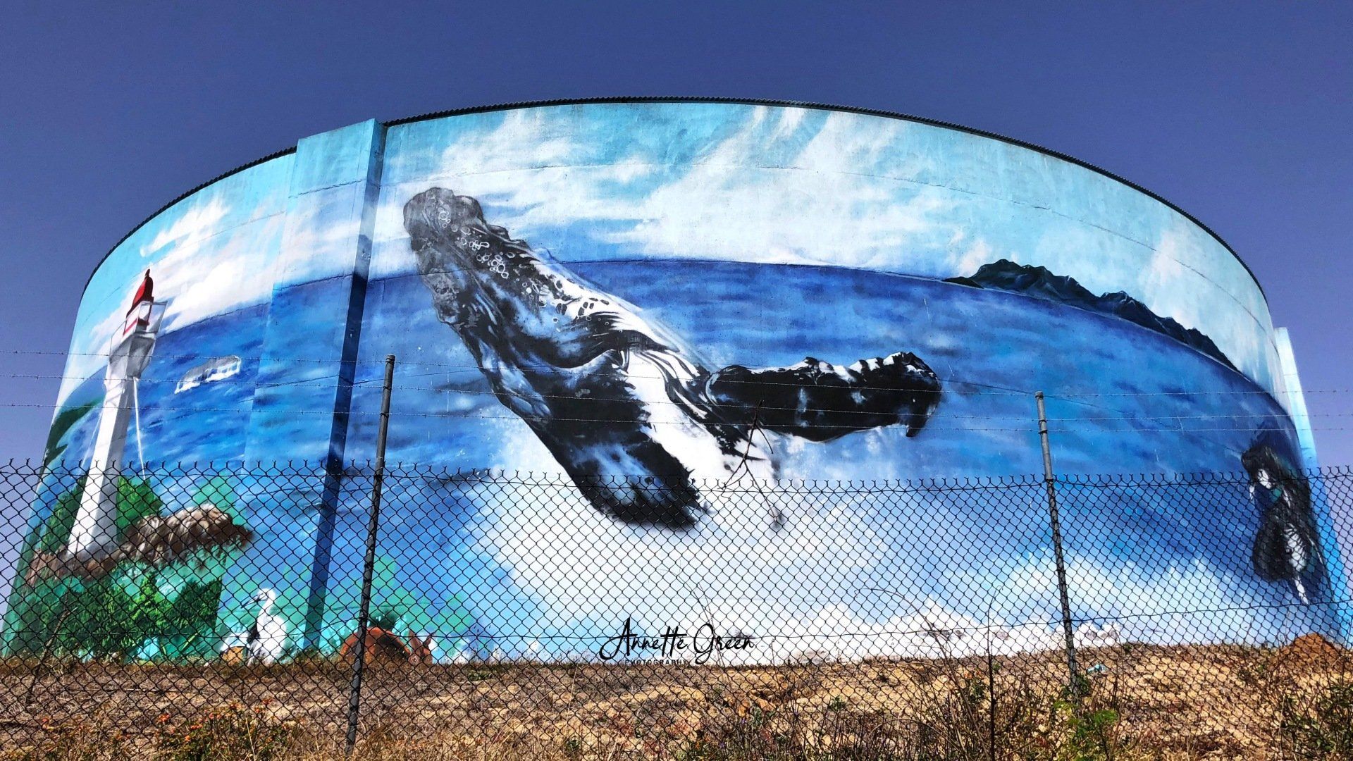 Bowen Water Tank Art, Australian Silo Art Trail