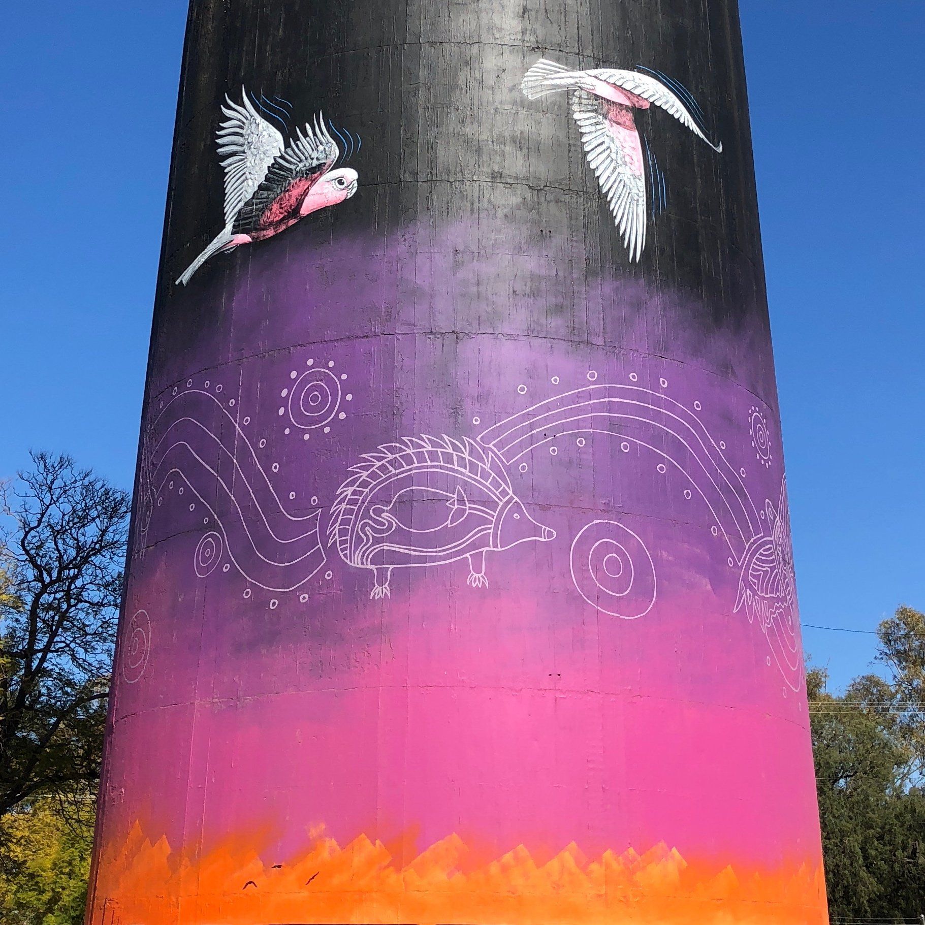 Coonamble Water Tower Art, Australian Silo At Trail, John Murray