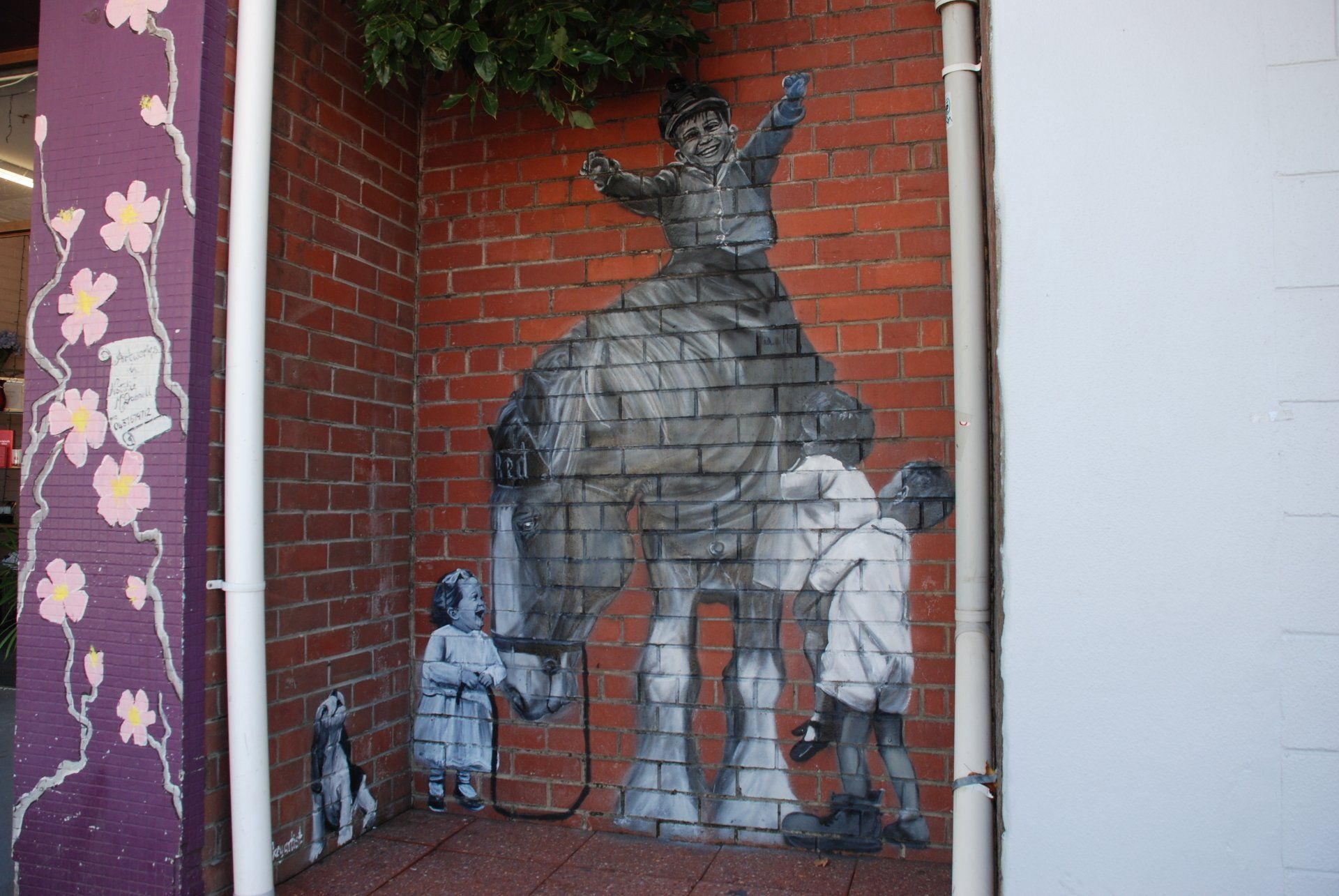 Collie Street Art, Australian Silo Art Trail
