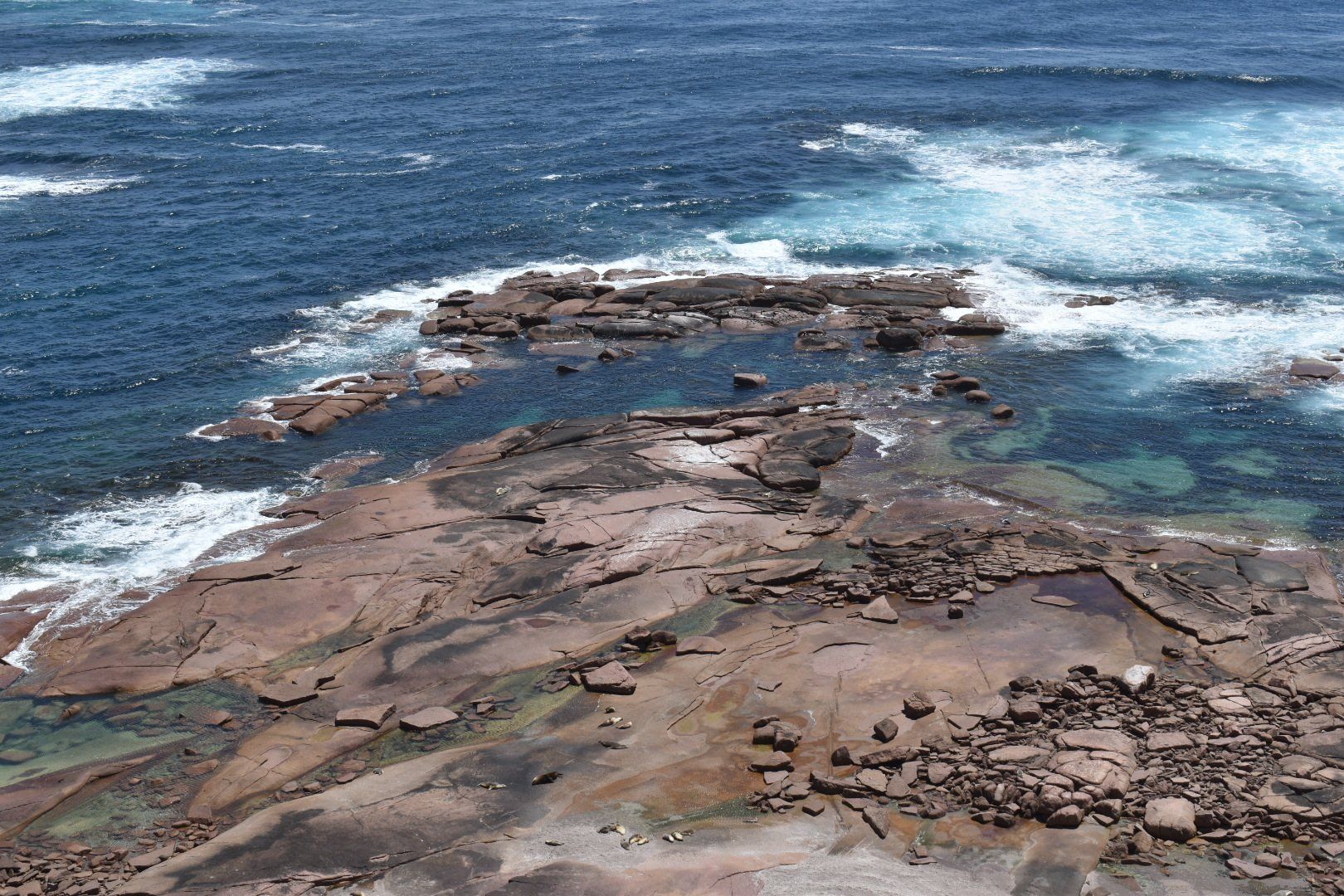  Point Labbatt Sea Lion Colony, Streaky Bay, Great Australian Adventure