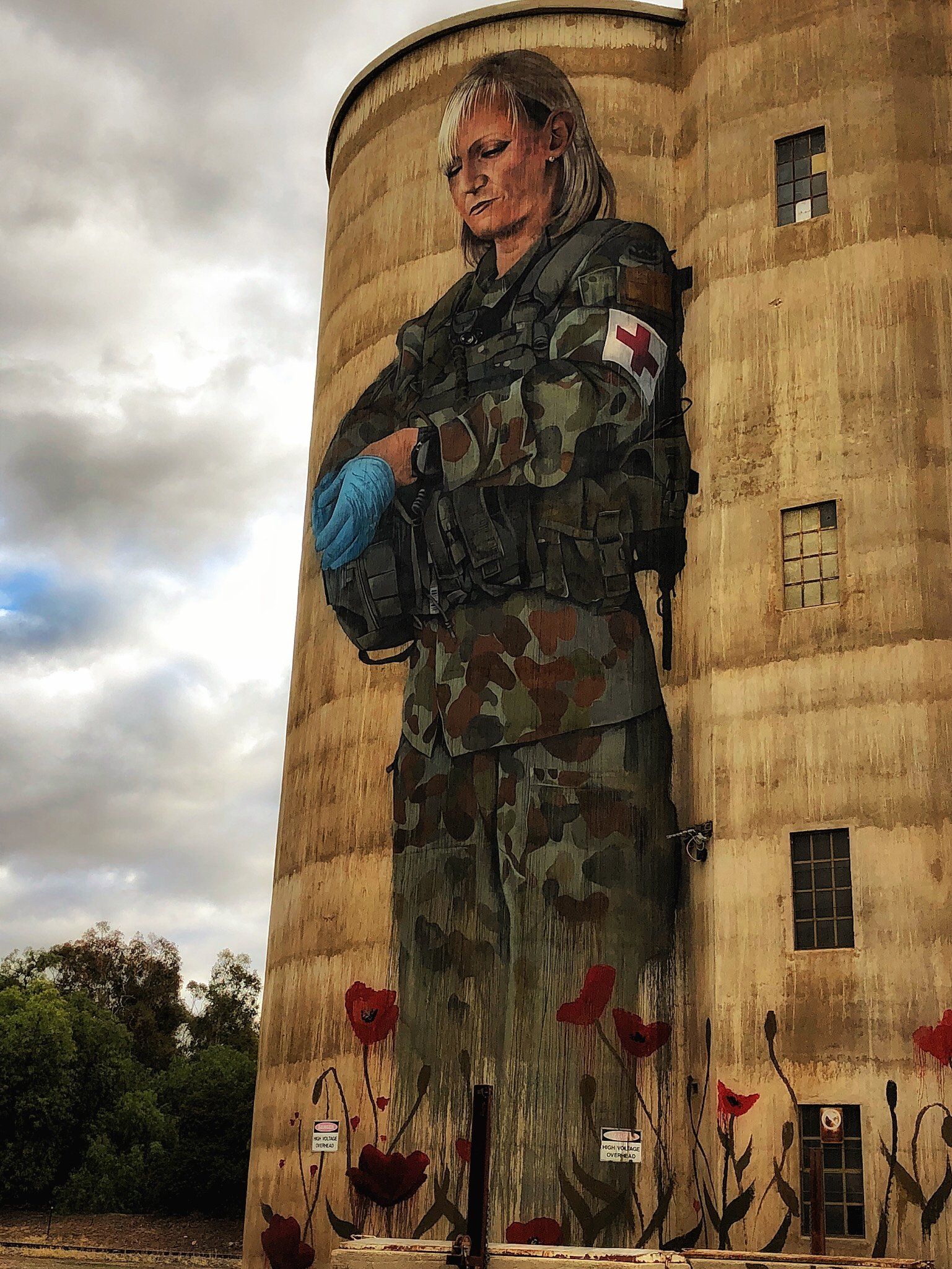 Devenish Silo Art, Australian Silo Art Trail, Cam Scale