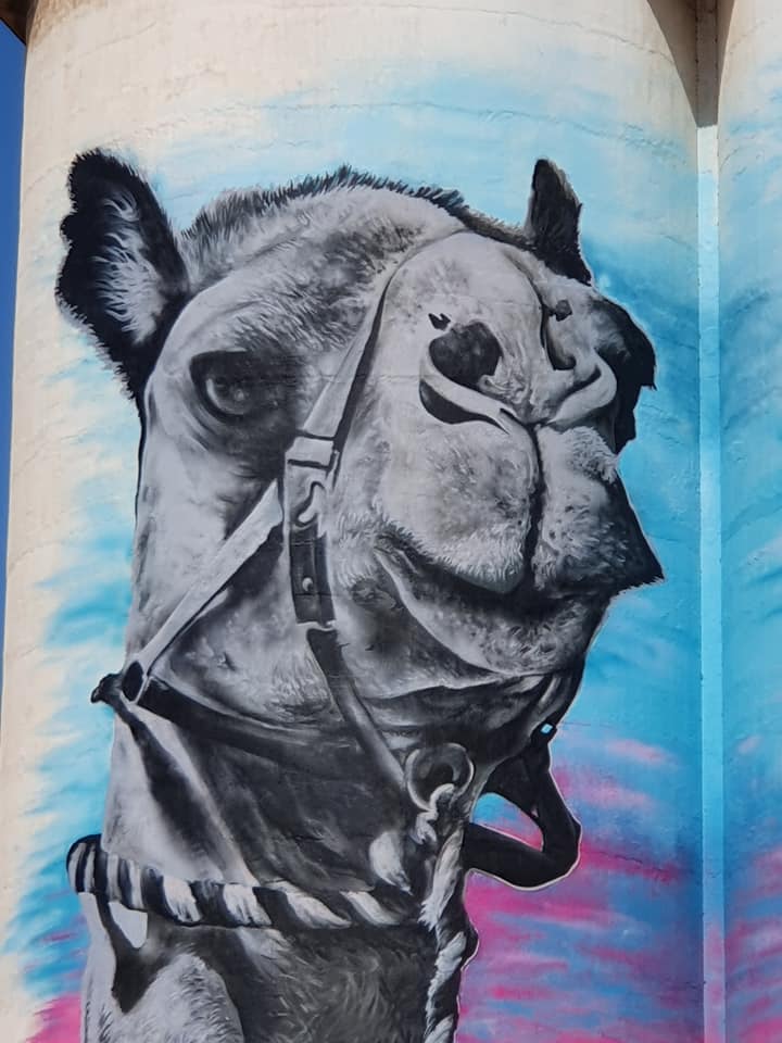 Cowell Silo Art, Australian Silo Art Trail, ! N I T S U A