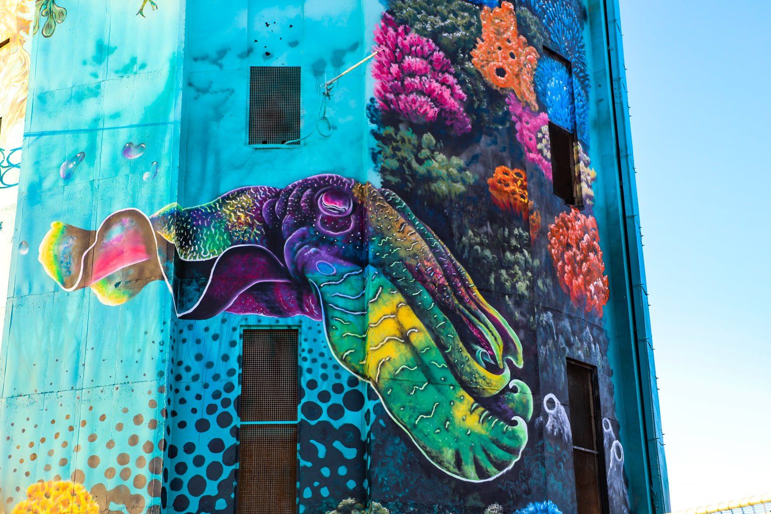 Edithburgh Water Tower Art, Australian Silo Art Trail
