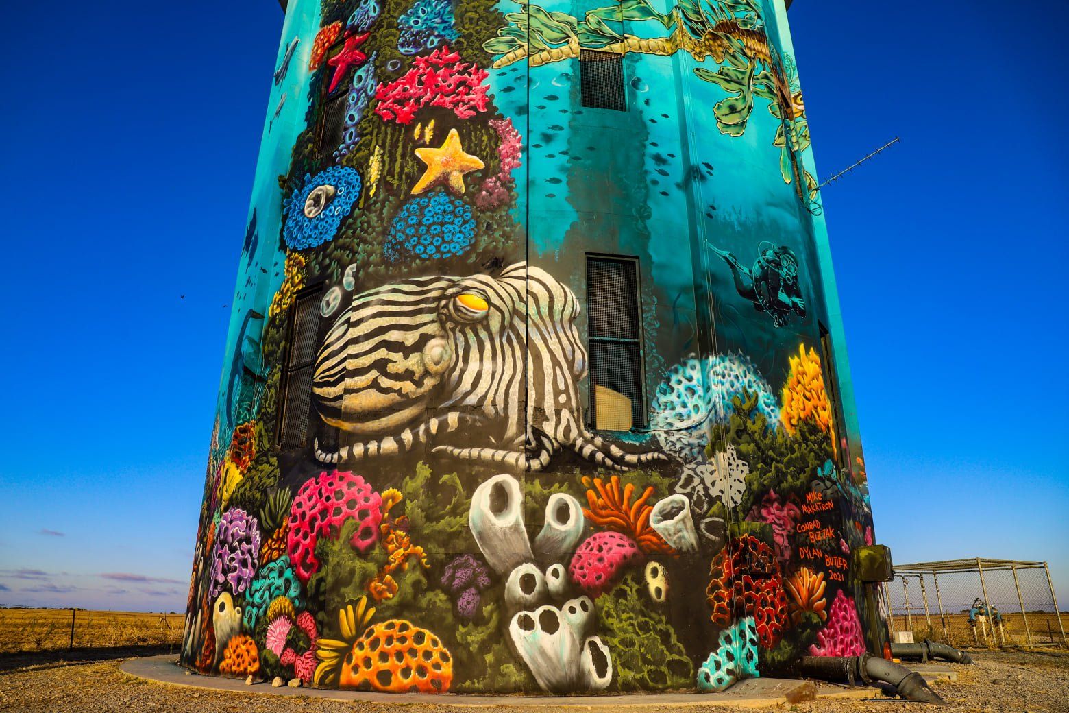 Edithburgh Water Tower Art, Australian Silo Art Trail