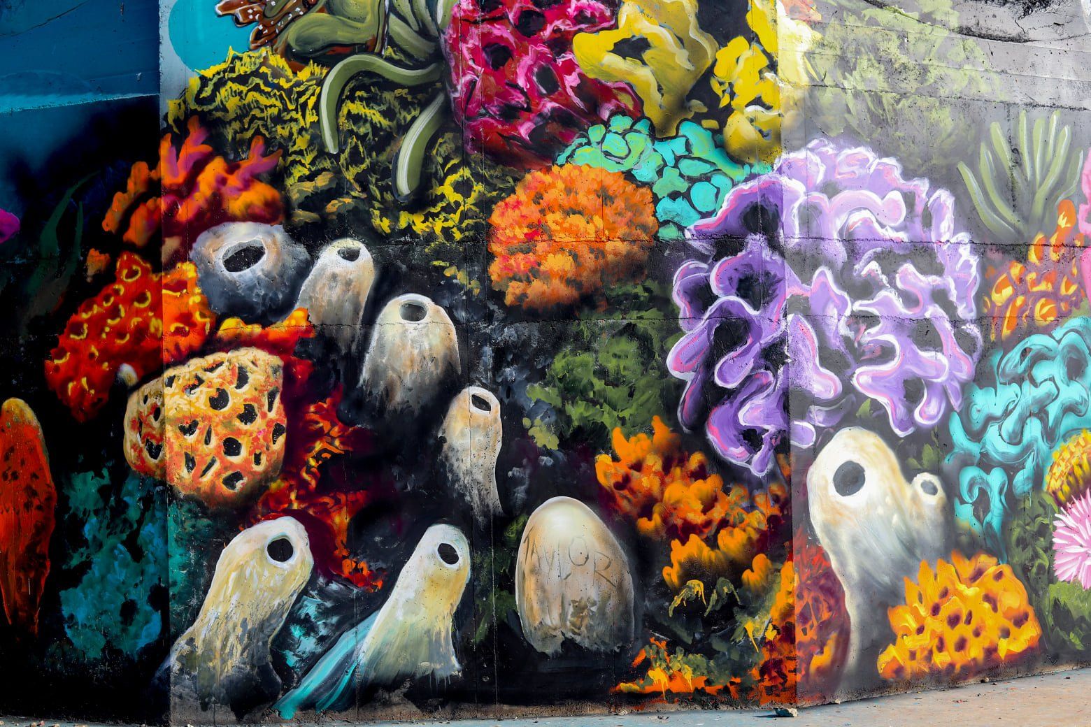 Edithburgh Water Tower Art, Australian Silo Art Trail