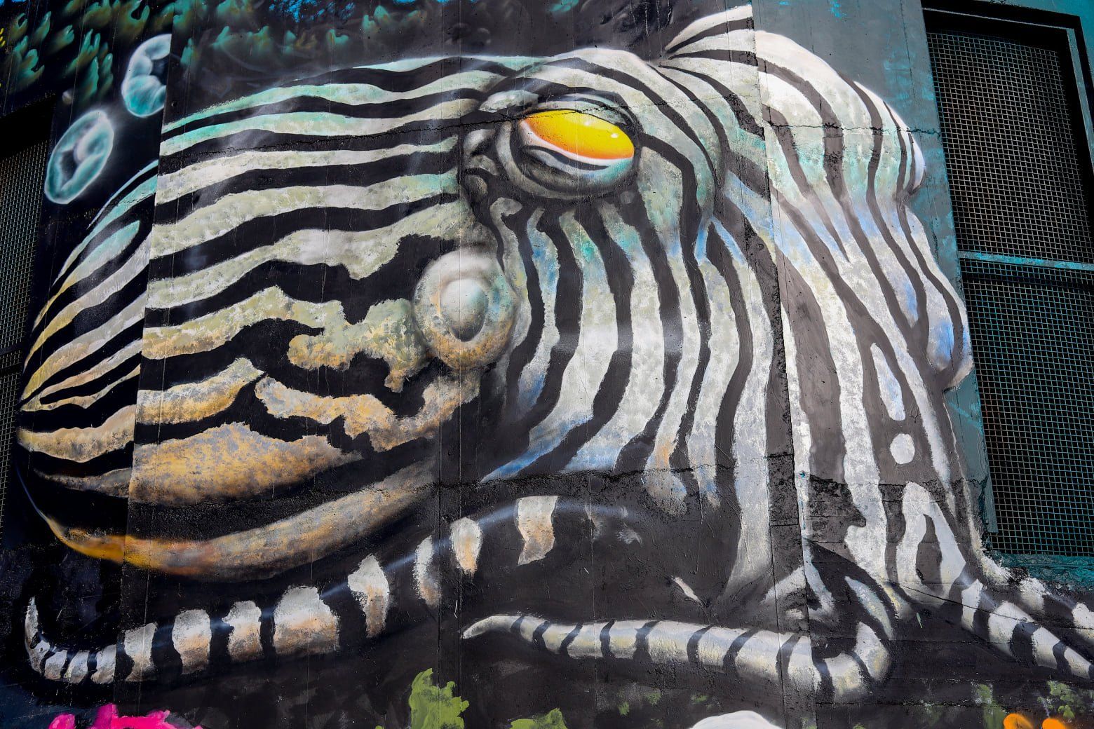 Edithburgh Water Tower Art, Australian Silo Art Trail