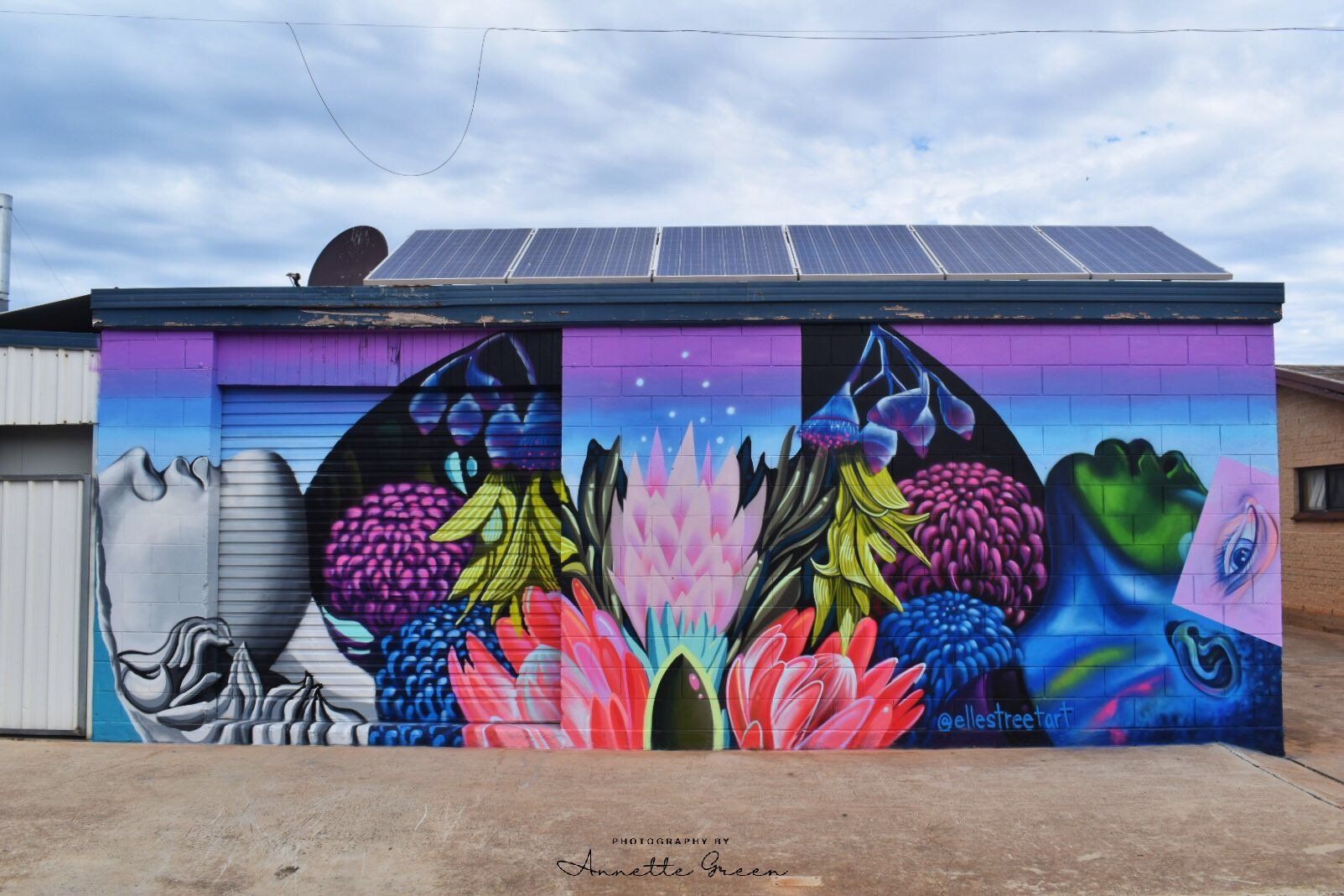 Colour Tumby Bay, Australian Silo Art Trail