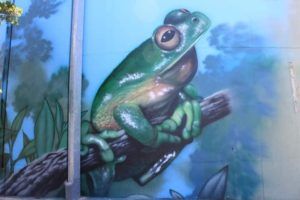 Fern Hills Water Tank, Australian Silo Art Trail