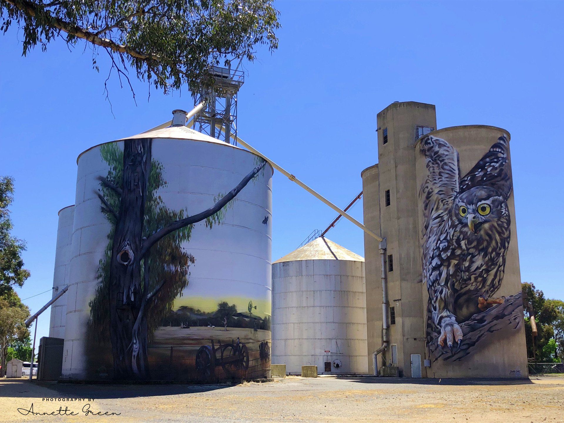 Australian Silo Art Trail, Victorian Silo Art Trail, Goorambat Silo Art