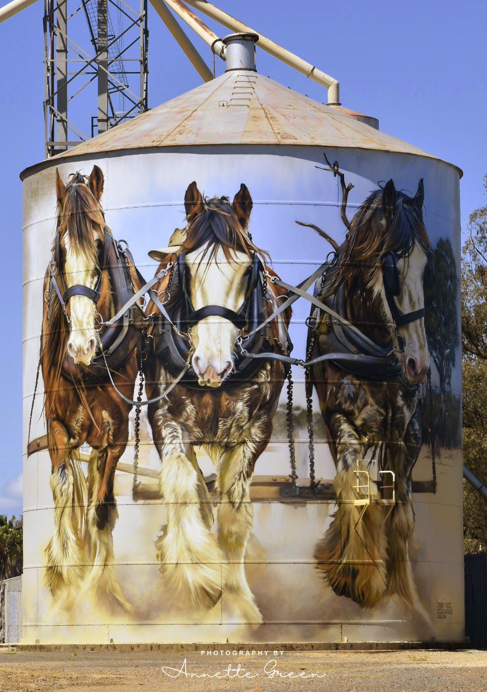 Goorambat Silo Art, Australian Silo Art Trail, Jimmy Dvate