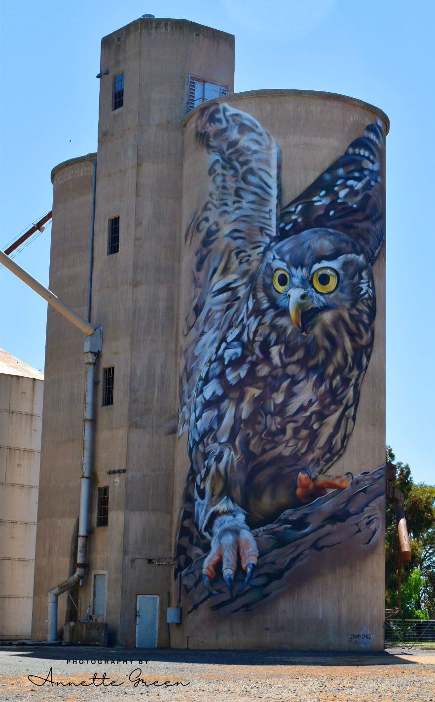 Goorambat Silo Art, Australian Silo Art Trail, Jimmy Dvate