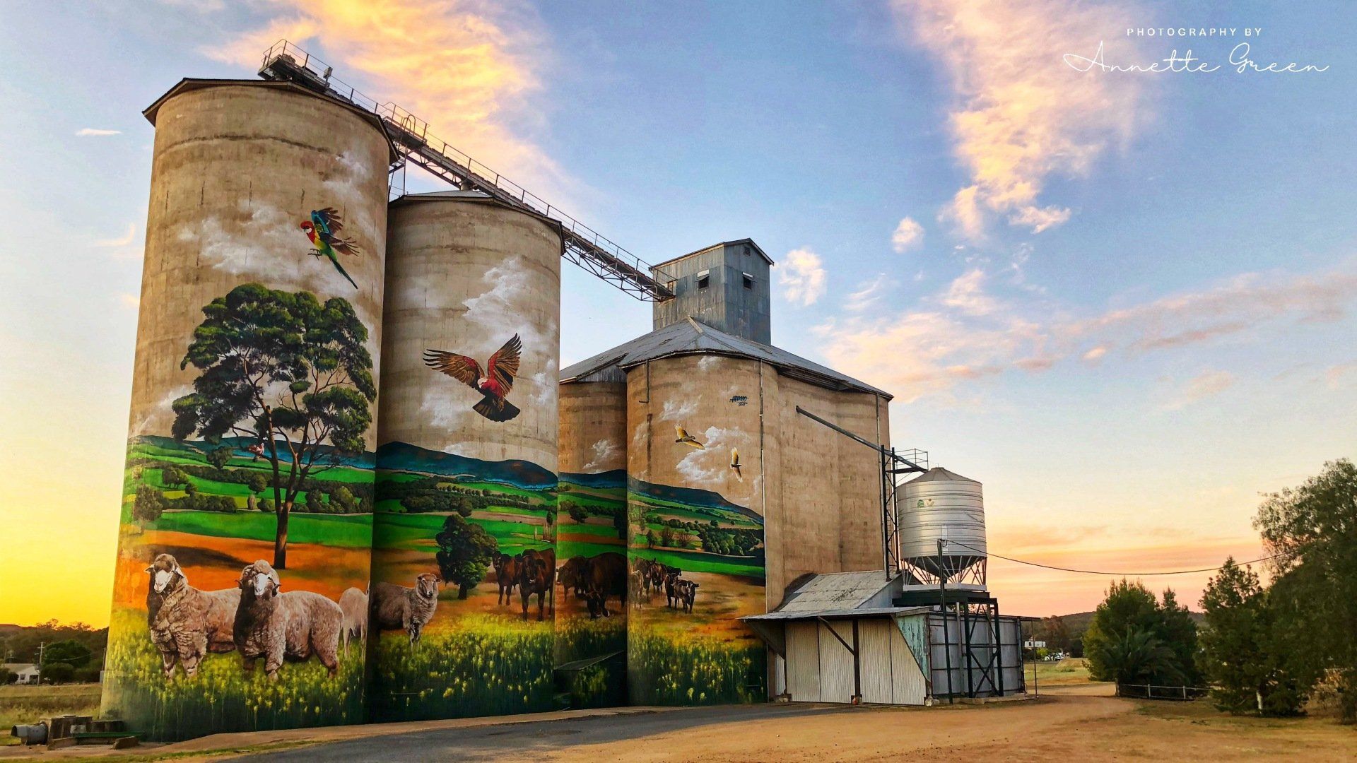 Grenfell Silo Art, Australian Silo Art Trail, Heesco, Heesco Khosnaran
