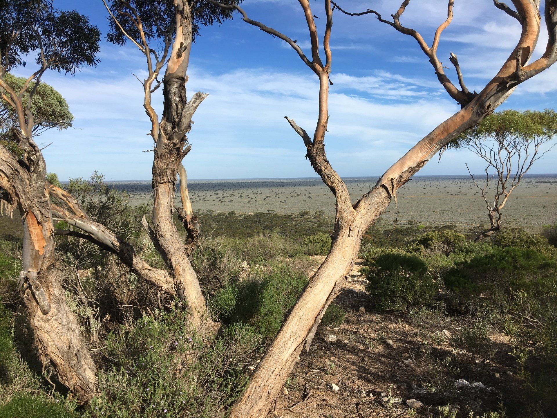 Madurah Pass, Nullarbor, Great Australian Adventure
