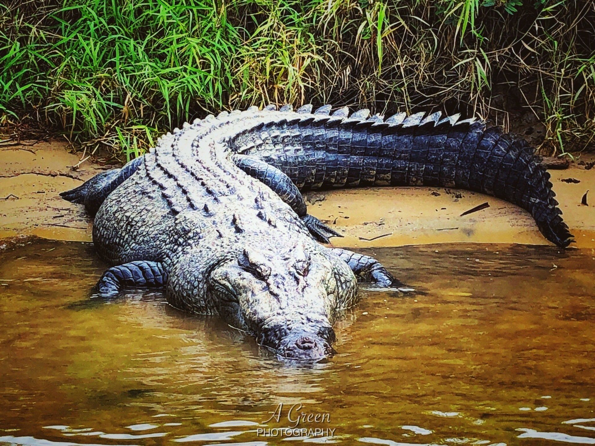 Daintree River, Diantree Rainforest Caravan Park, Great Australian Adventure