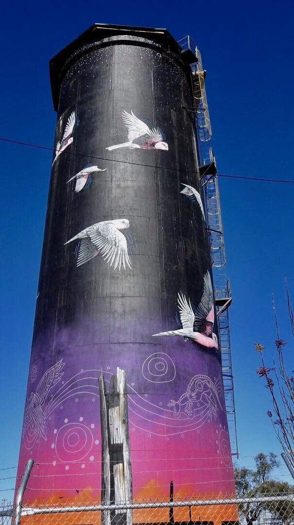 Australian Silo Art Trail, Coonamble Water Tower, John Murray Artist