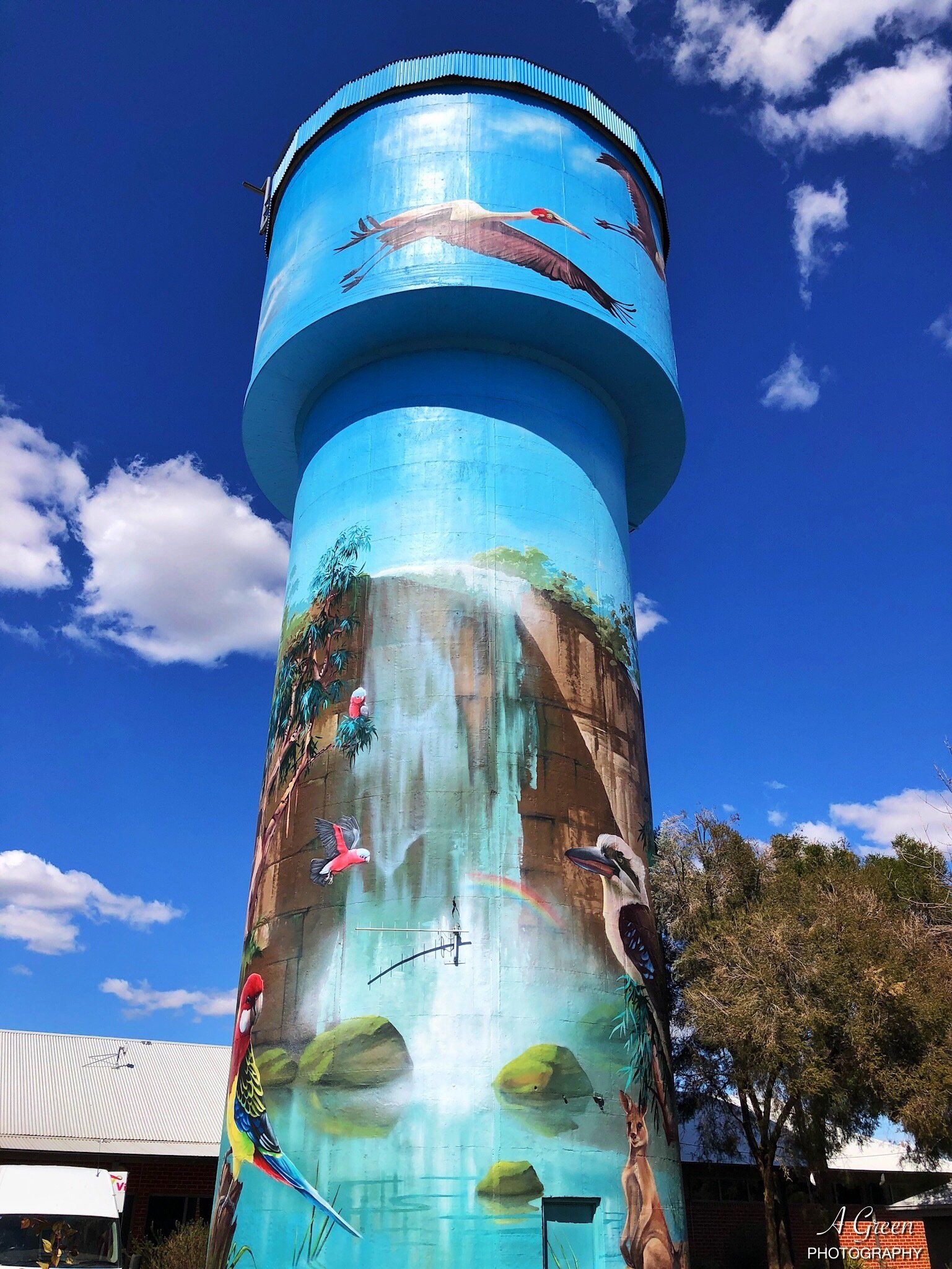 Australian Silo Art Trail, Lockhart New South Wales