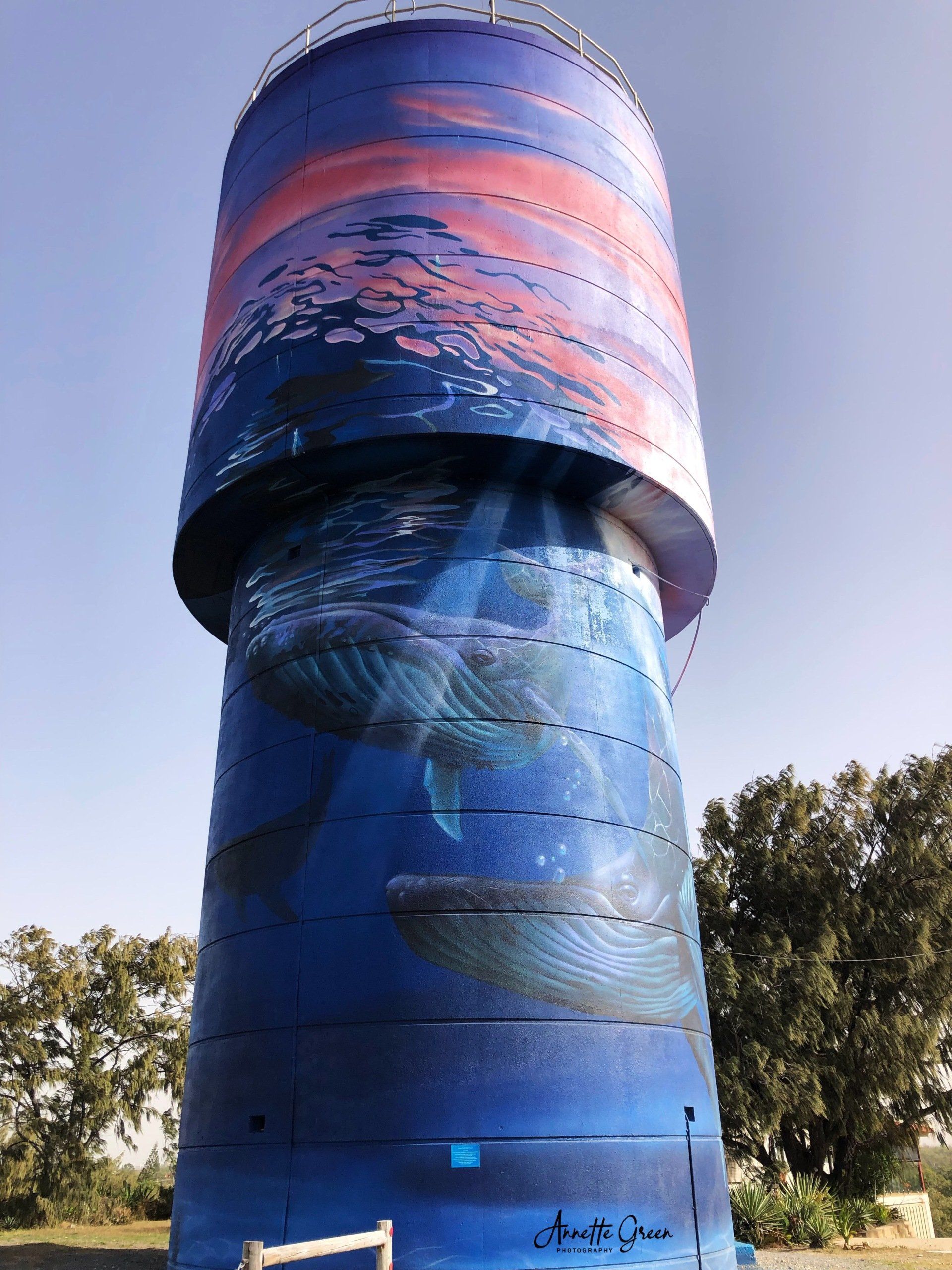 Slade Point Water Tower Art, Australian Silo Art Trail