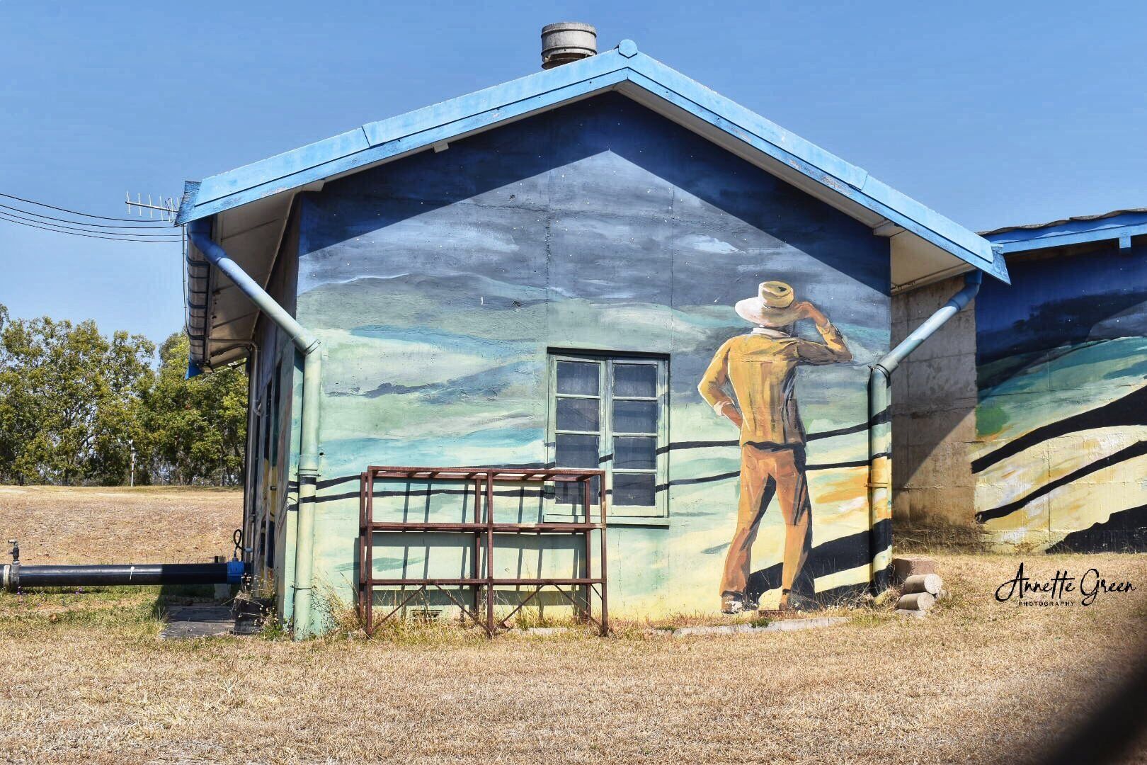 Monto Water Tank Art, Australian Silo Art Trail