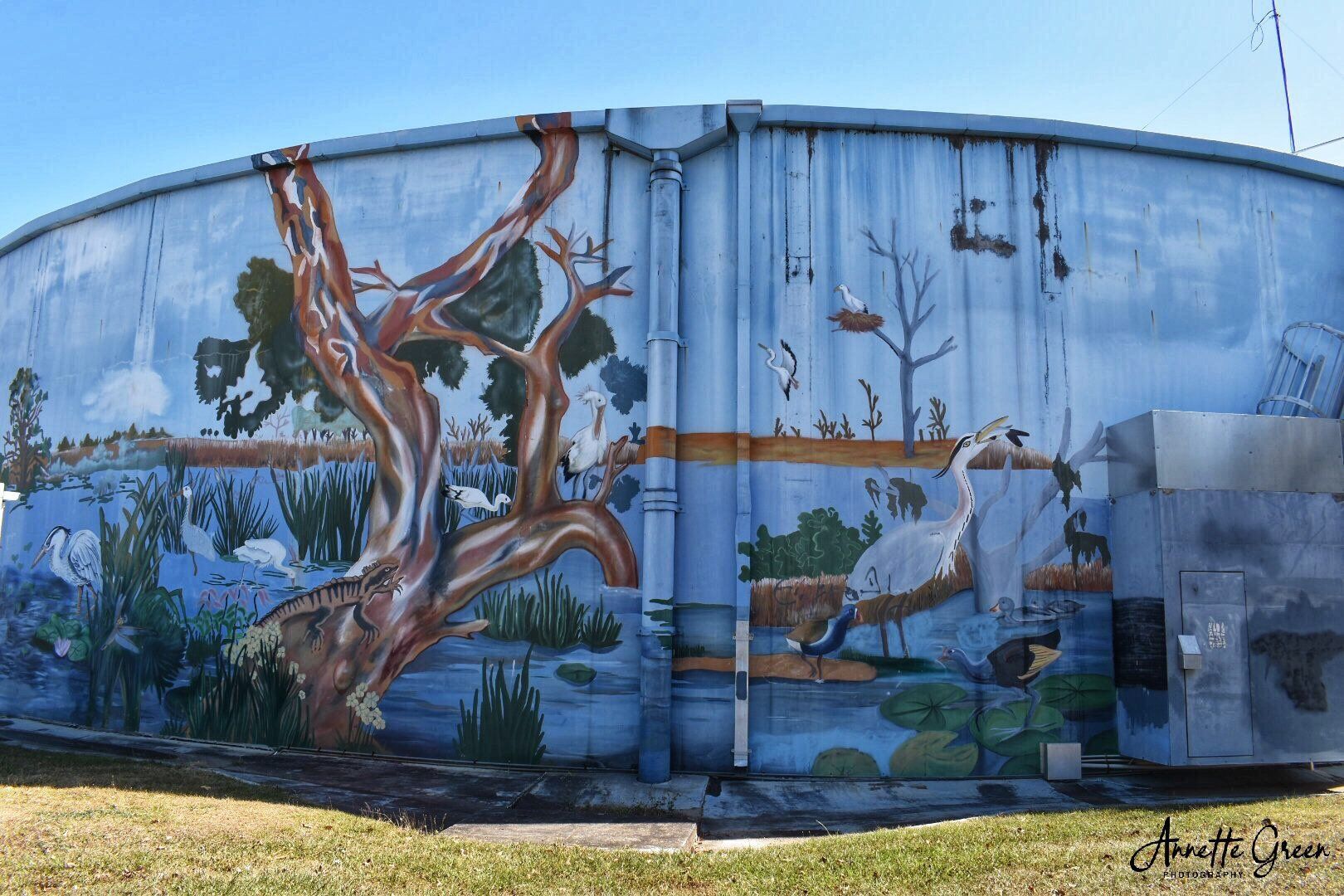 Rothwell Water Tank Art, Australian Silo Art Trail, Queensland