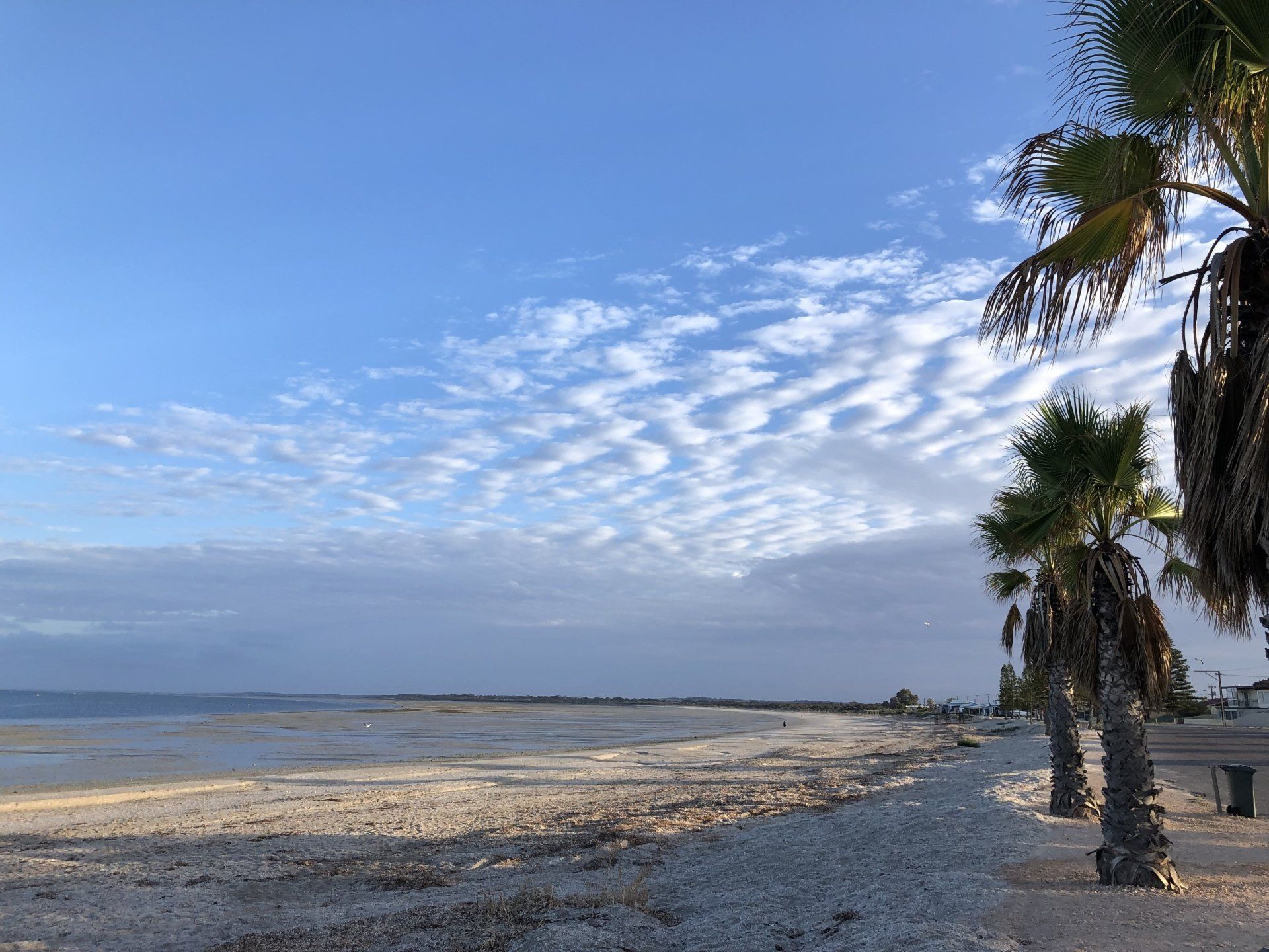Smoky Bay Foreshore, South Australia, Great Australian Adventure