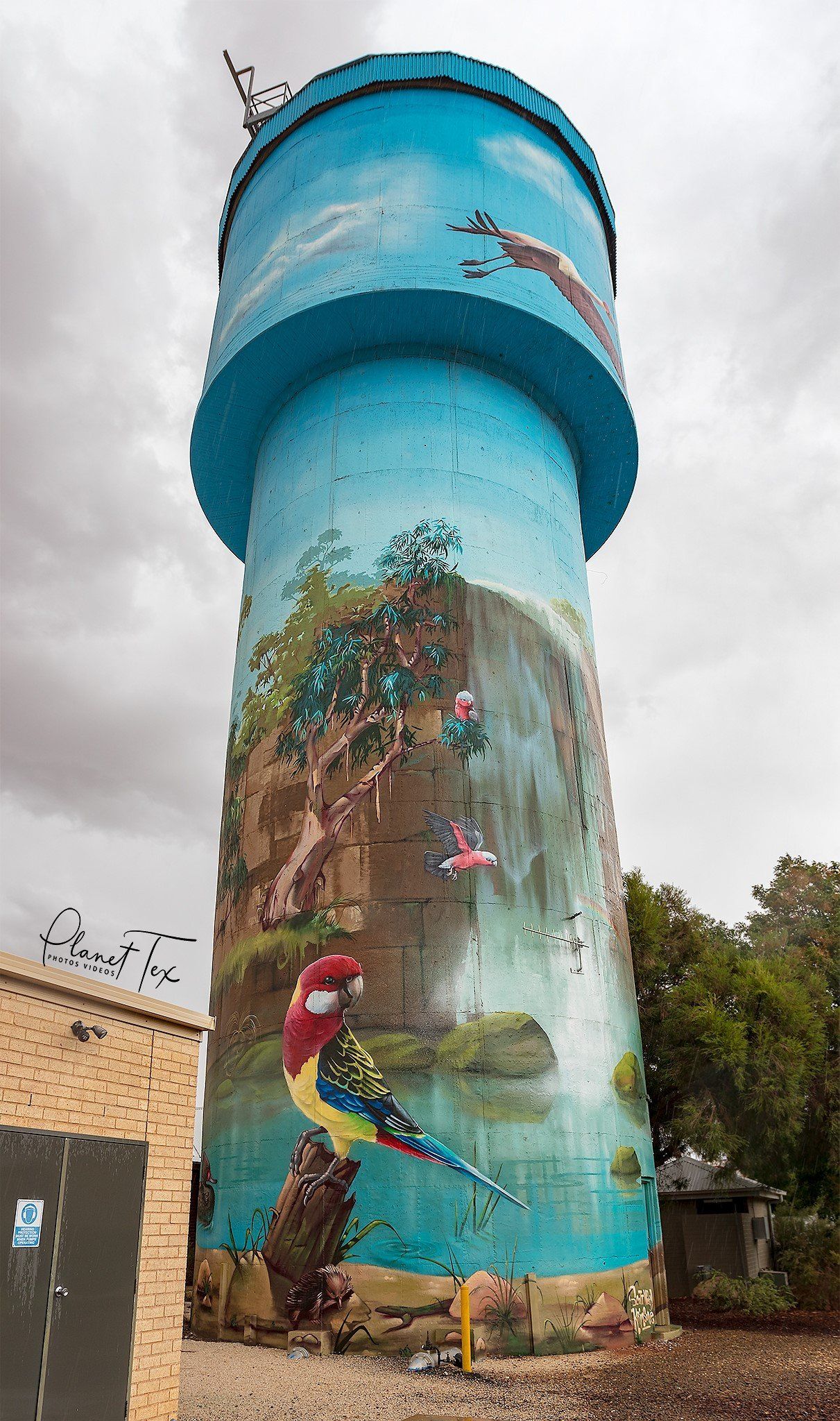 Lockhart Water Tower Art, Australian Silo Art Trail, Krimsone