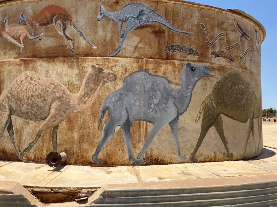 Maree Water Tank Art, Australian Silo Art Trail