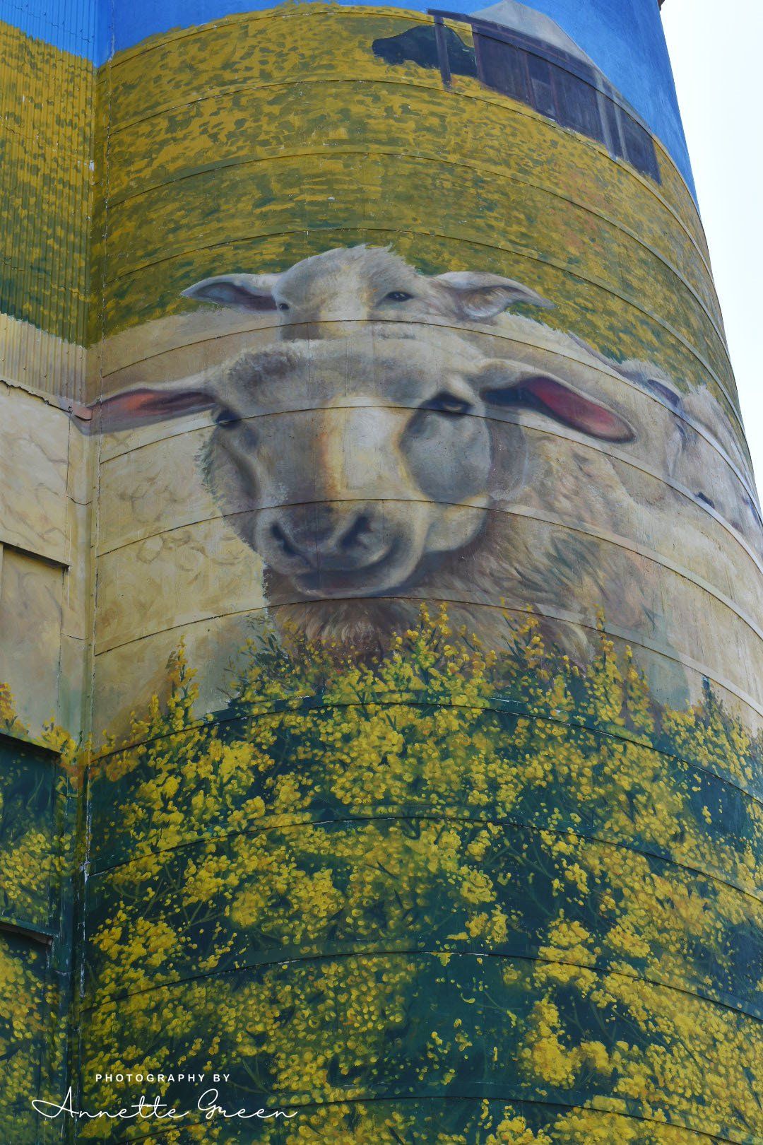 Merriwa Silo Art, Australian Silo Art Trail
