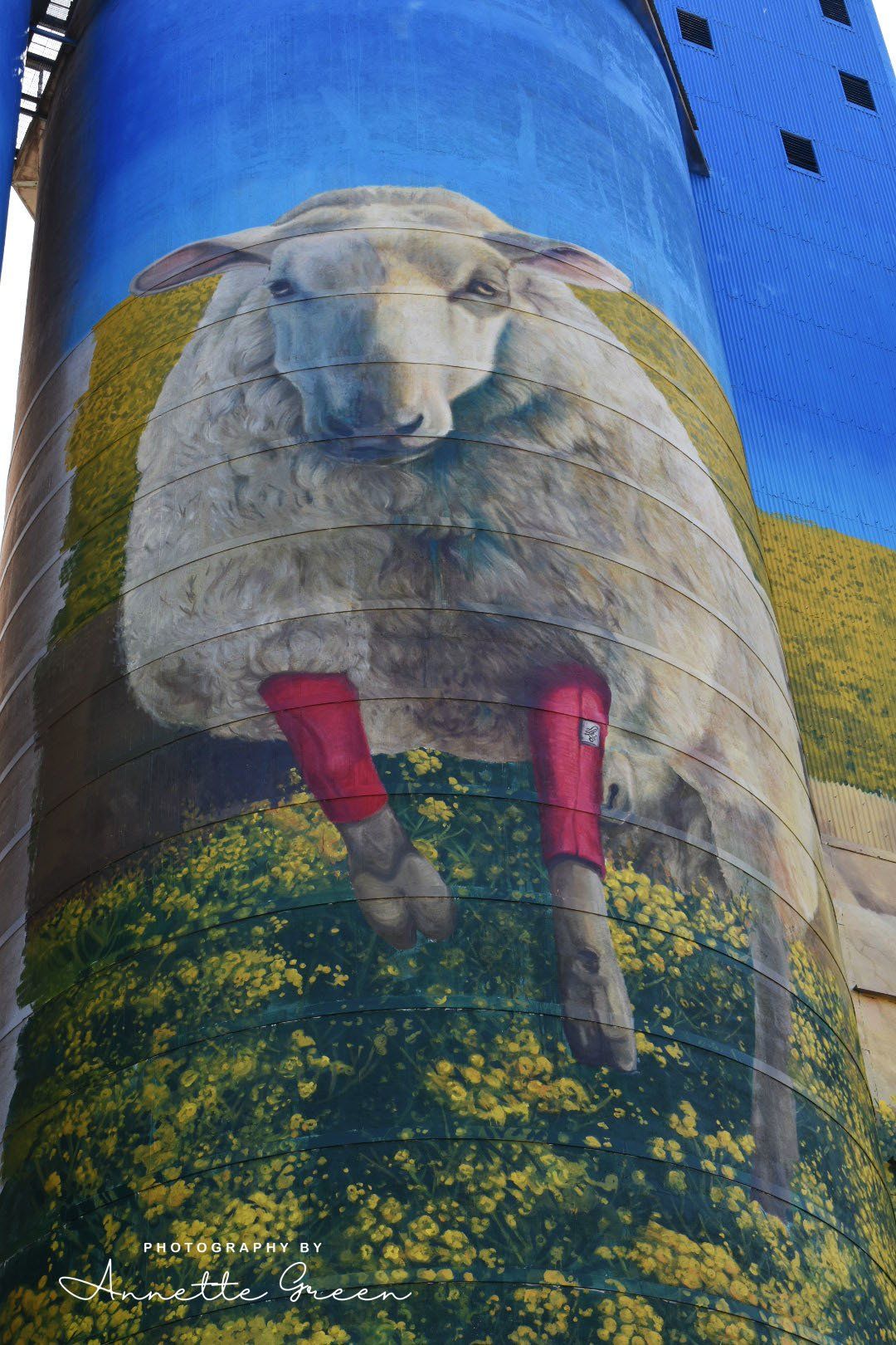 Merriwa Silo Art, Australian Silo Art Trail