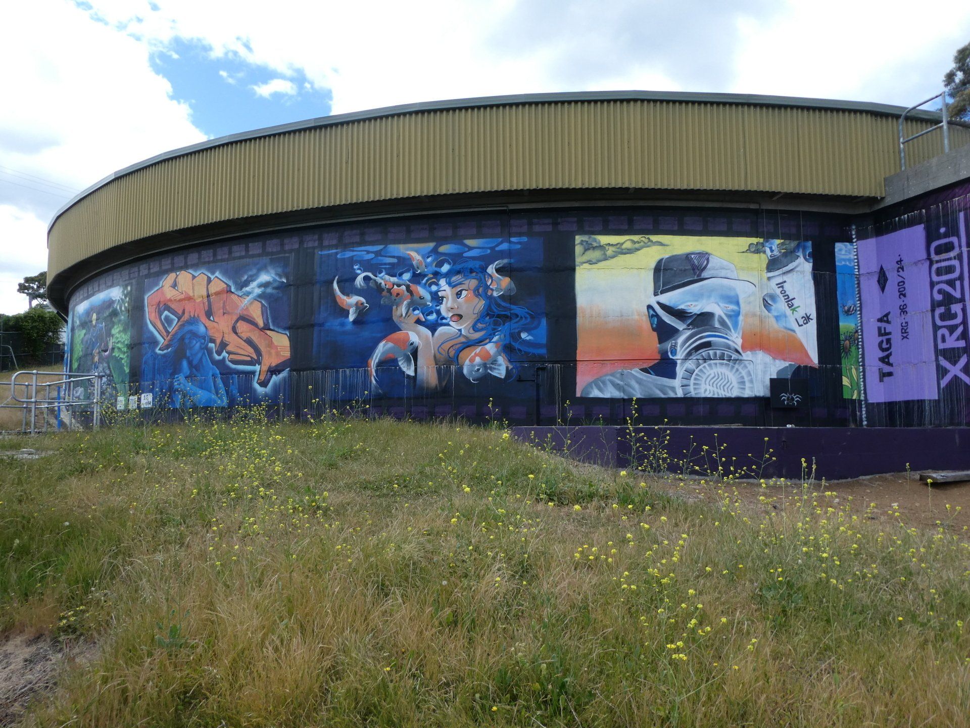 Australian Silo Art Trail, Mount Stuart Water Tank Art