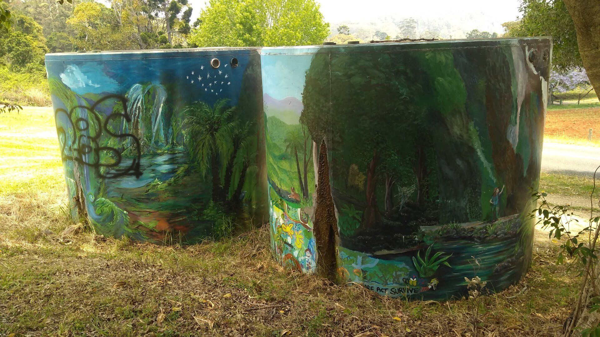 Spring Brook Water Tank, Australian Silo Art Trail