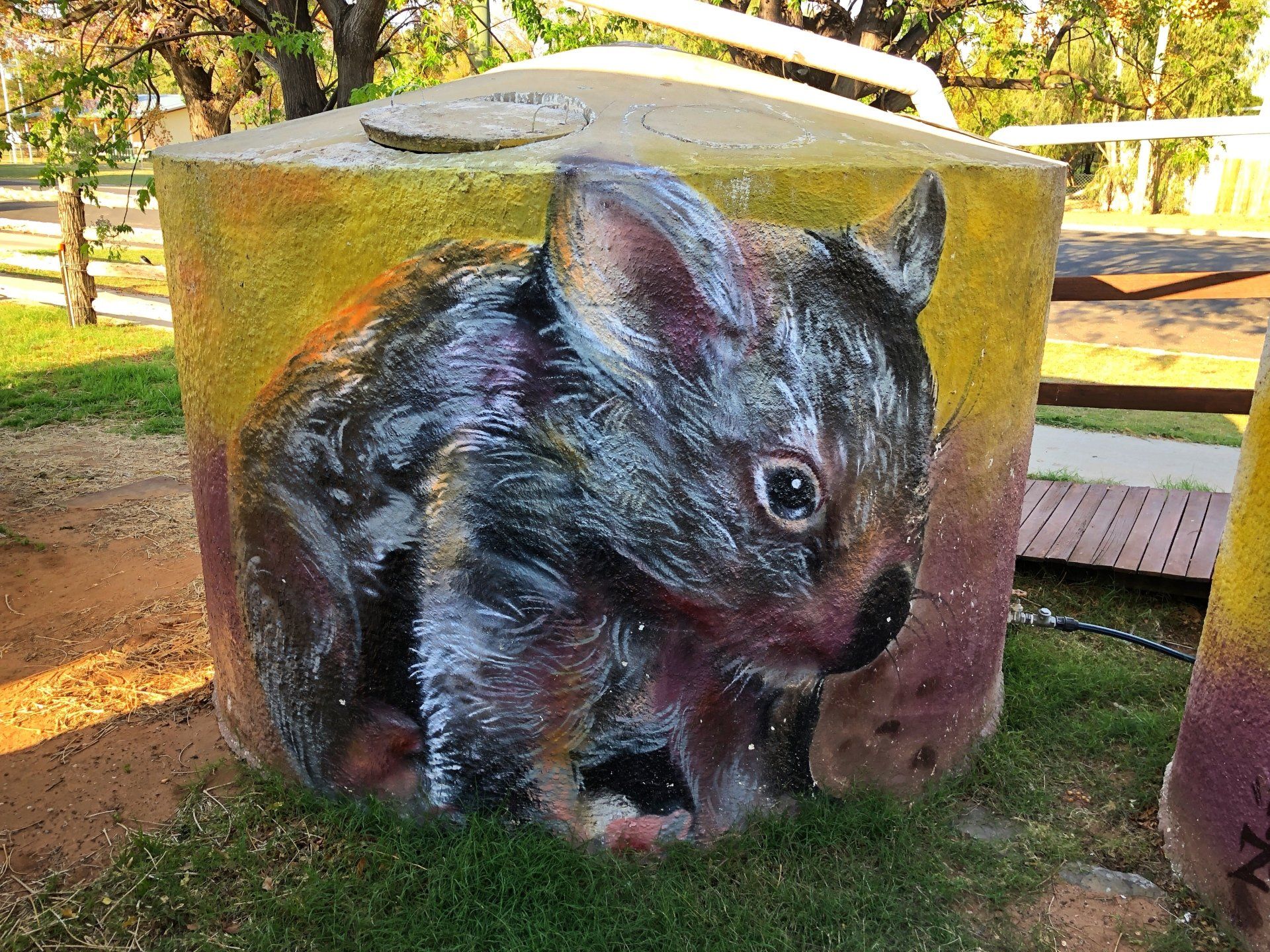 Thallon Wombats Water Tank Art, Australian Silo Art Trail