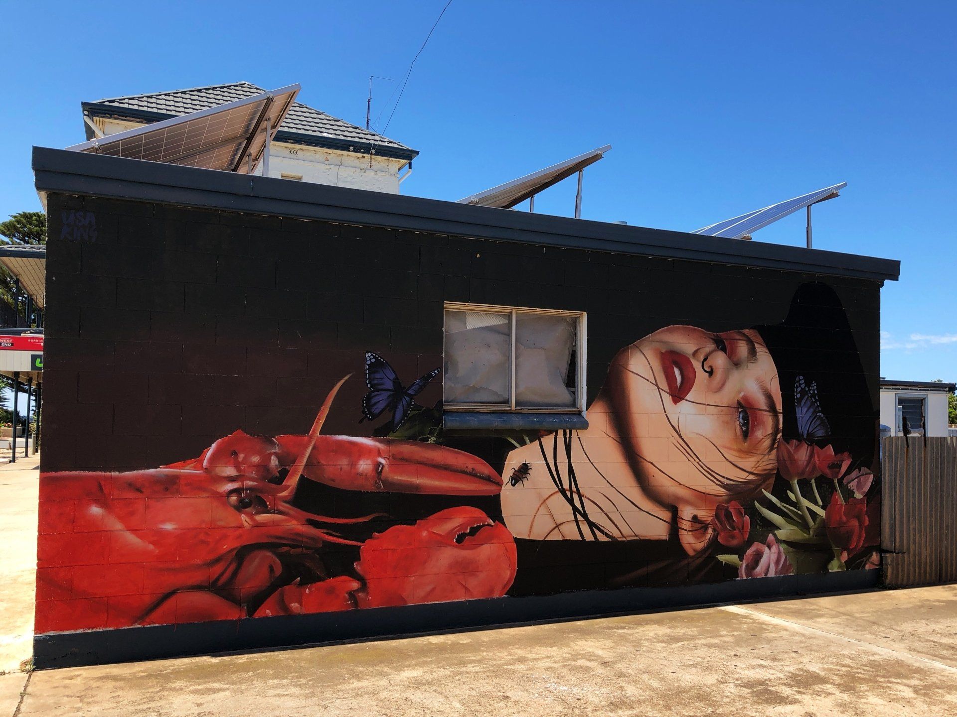 Colour Tumby Bay, Australian Silo Art Trail