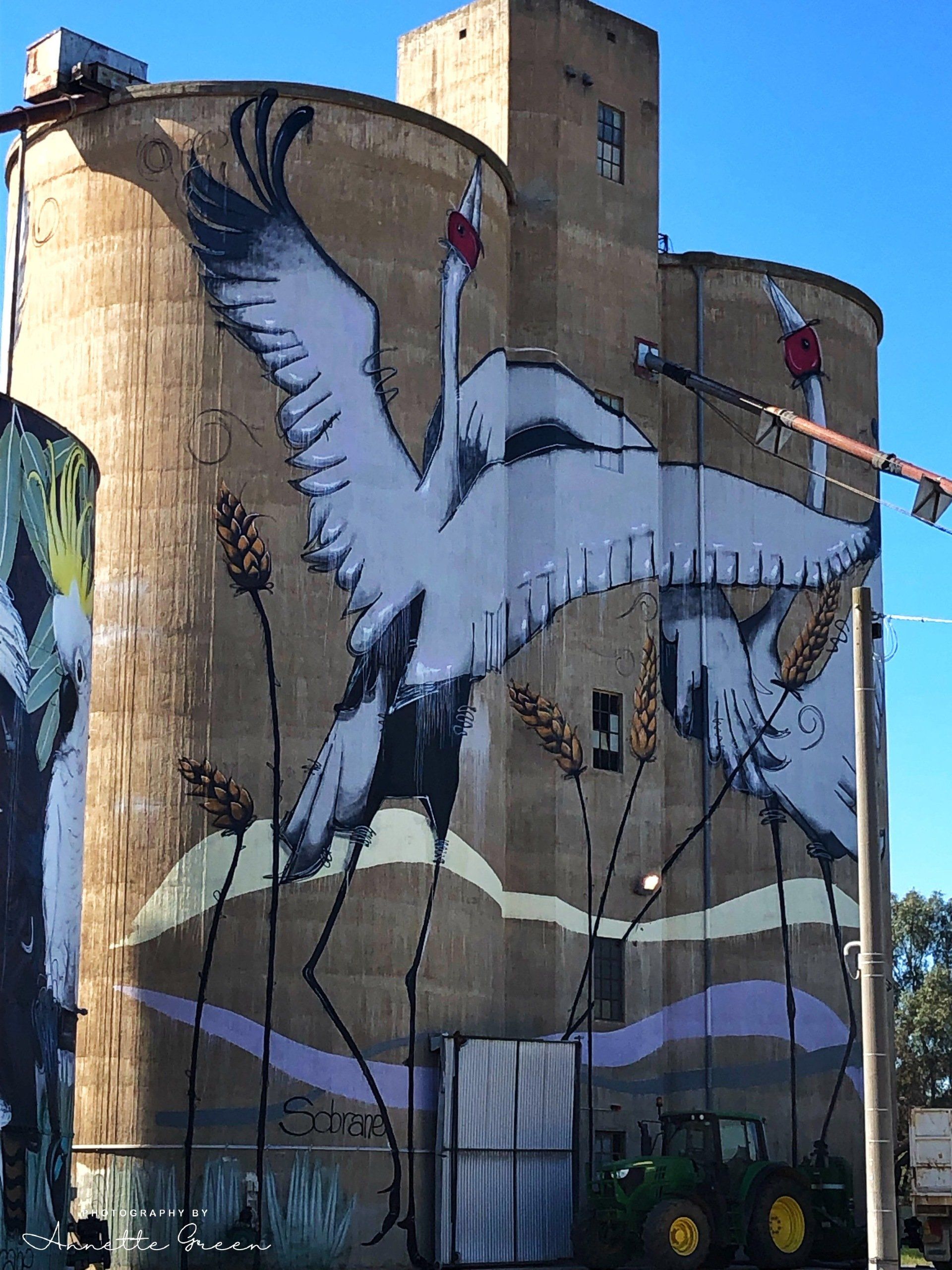 Tungamah Silo Art, Australian Silo Art Trail, Sobrane Simcock