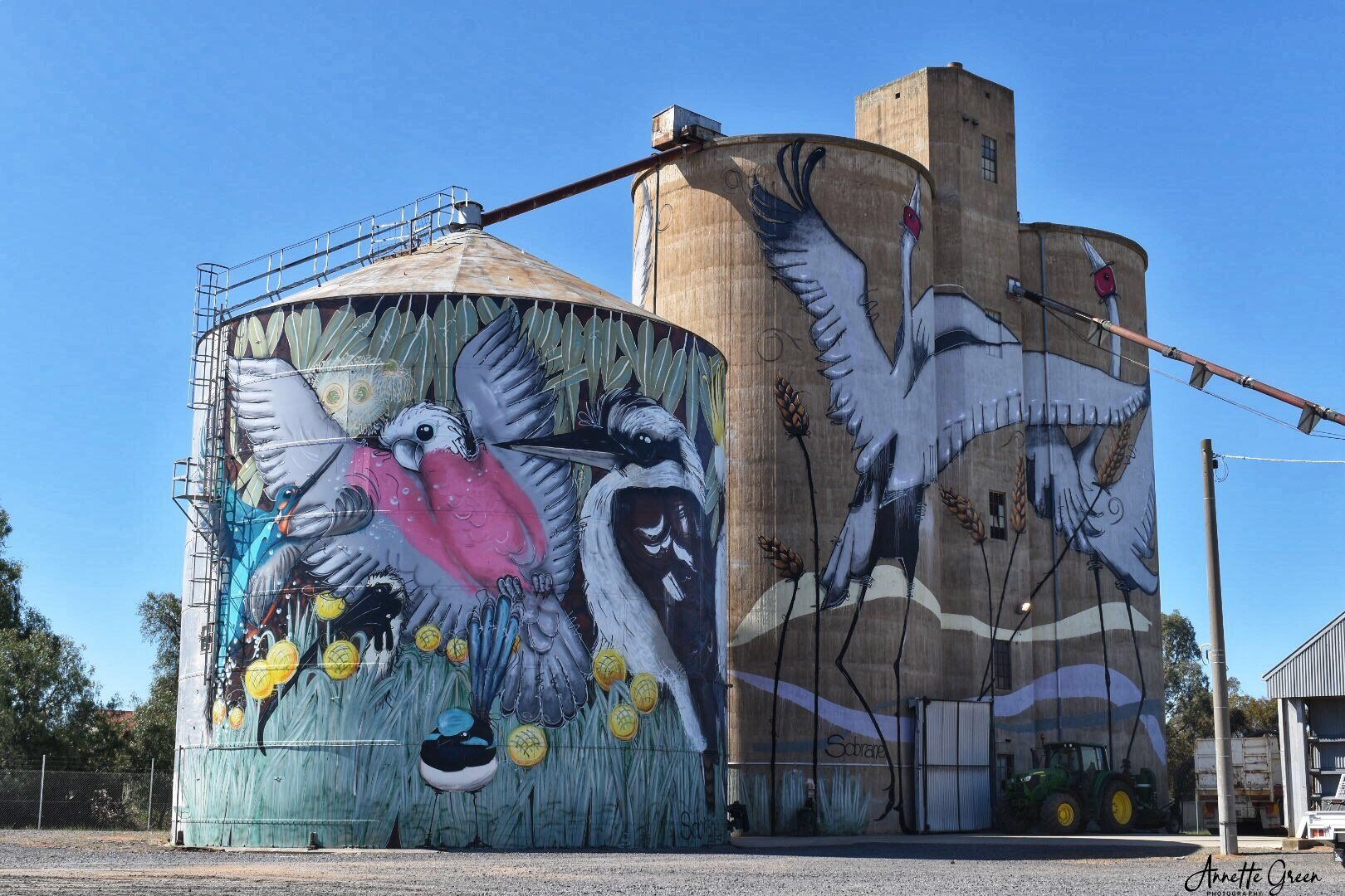 Australian Silo Art Trail, Victorian Silo Art Trail, Tungamah Silo Art
