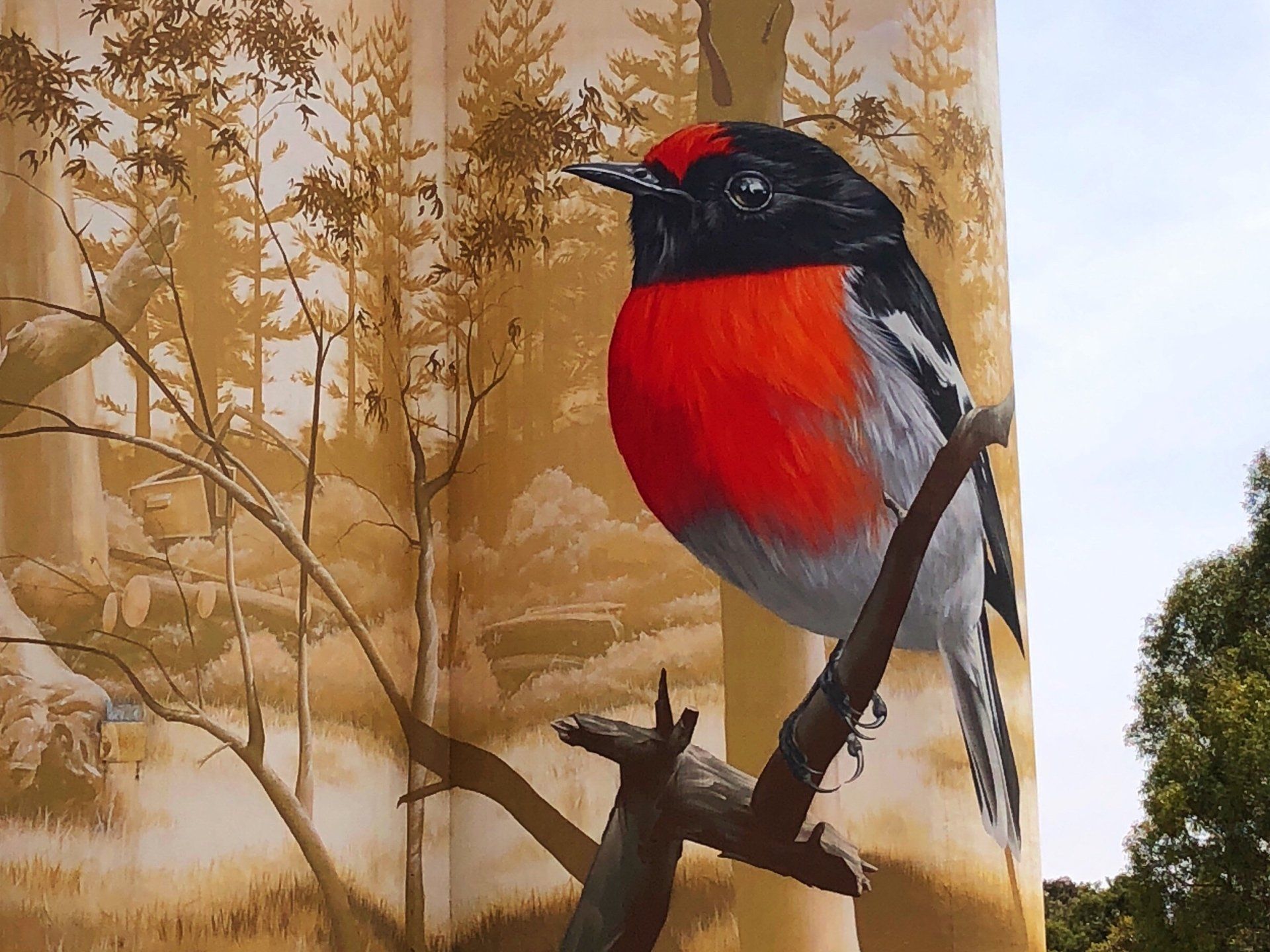 Wirrabara Silo Art, Australian Silo Art Trail, Smug