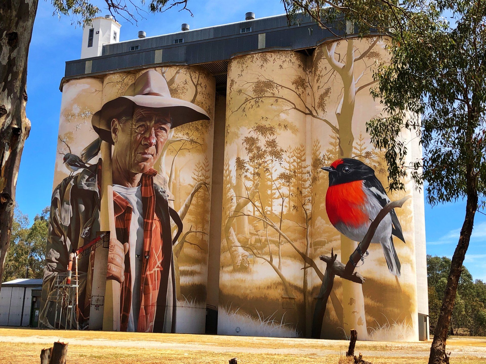 Wirrabara Silo Art, Australian Silo Art Trail, Smug