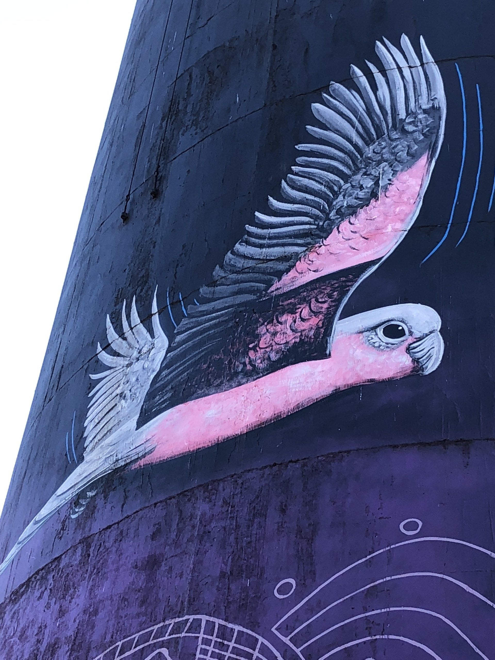 Coonamble Water Tower Art, Australian Silo At Trail, John Murray