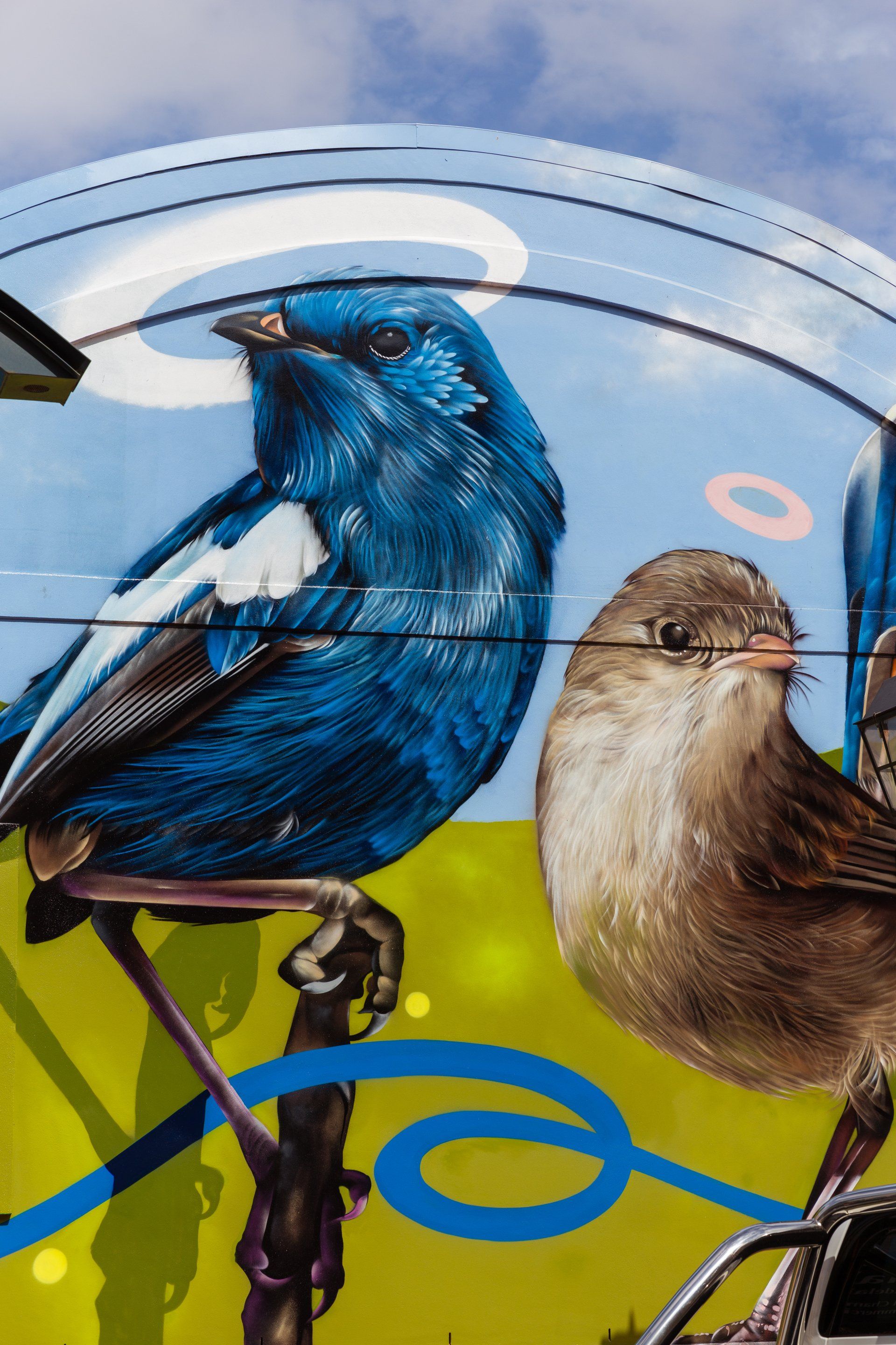 Australian Silo Art Trail, Port Adelaide Wonderwalls