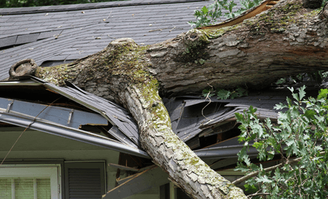 storm damage roof repair