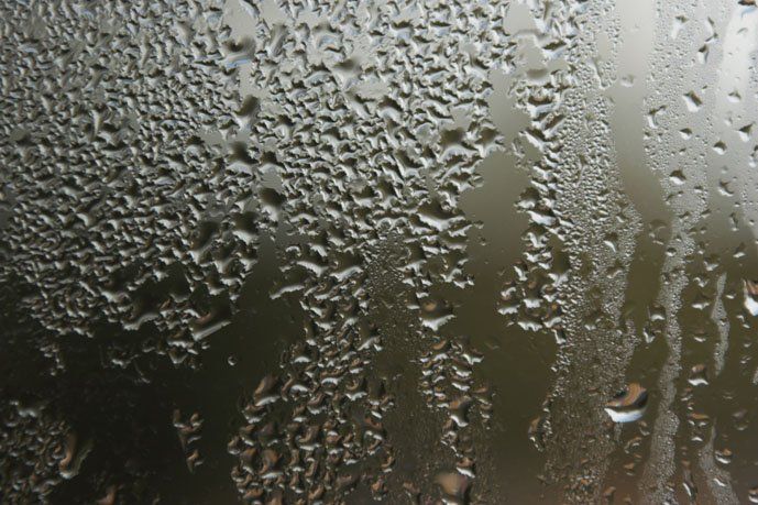 Apollo Damp & Timber Decay Specialists Ltd 3