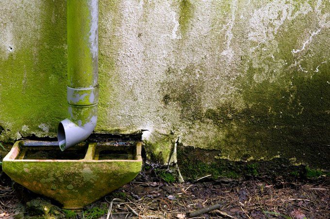 Apollo Damp & Timber Decay Specialists Ltd 1