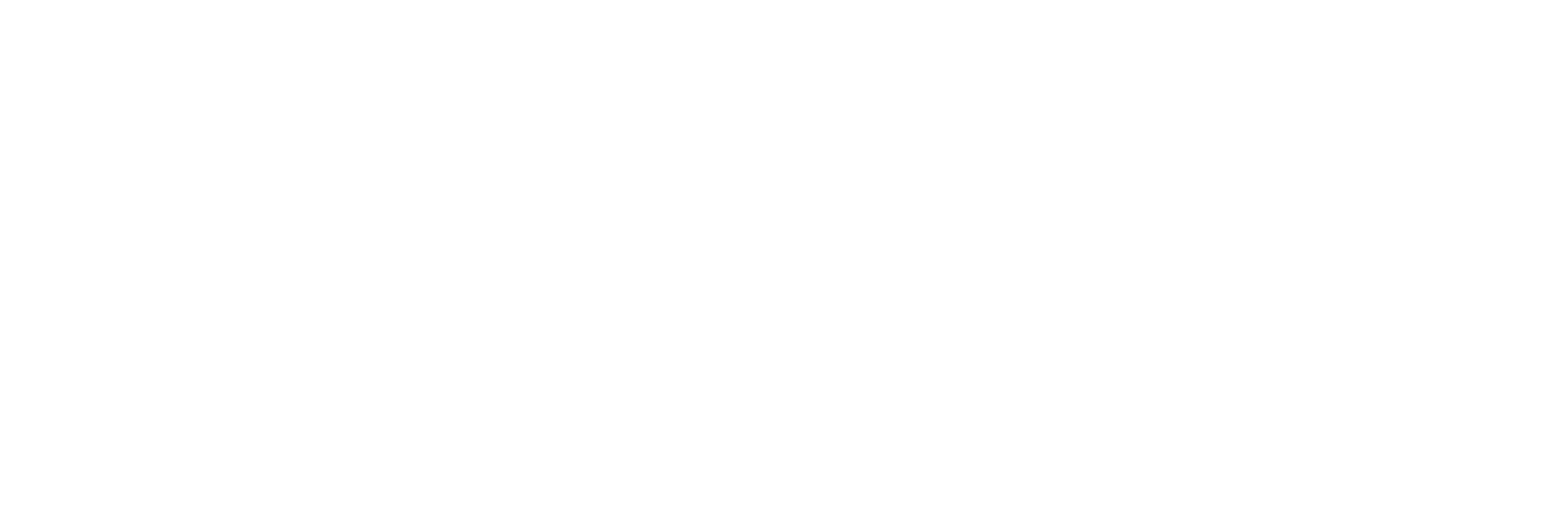 Virgil Ortiz Logo