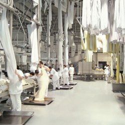 people at work