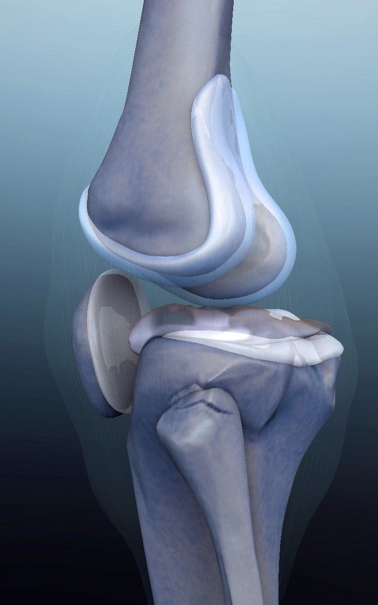 About The Cartilage Regeneration Center