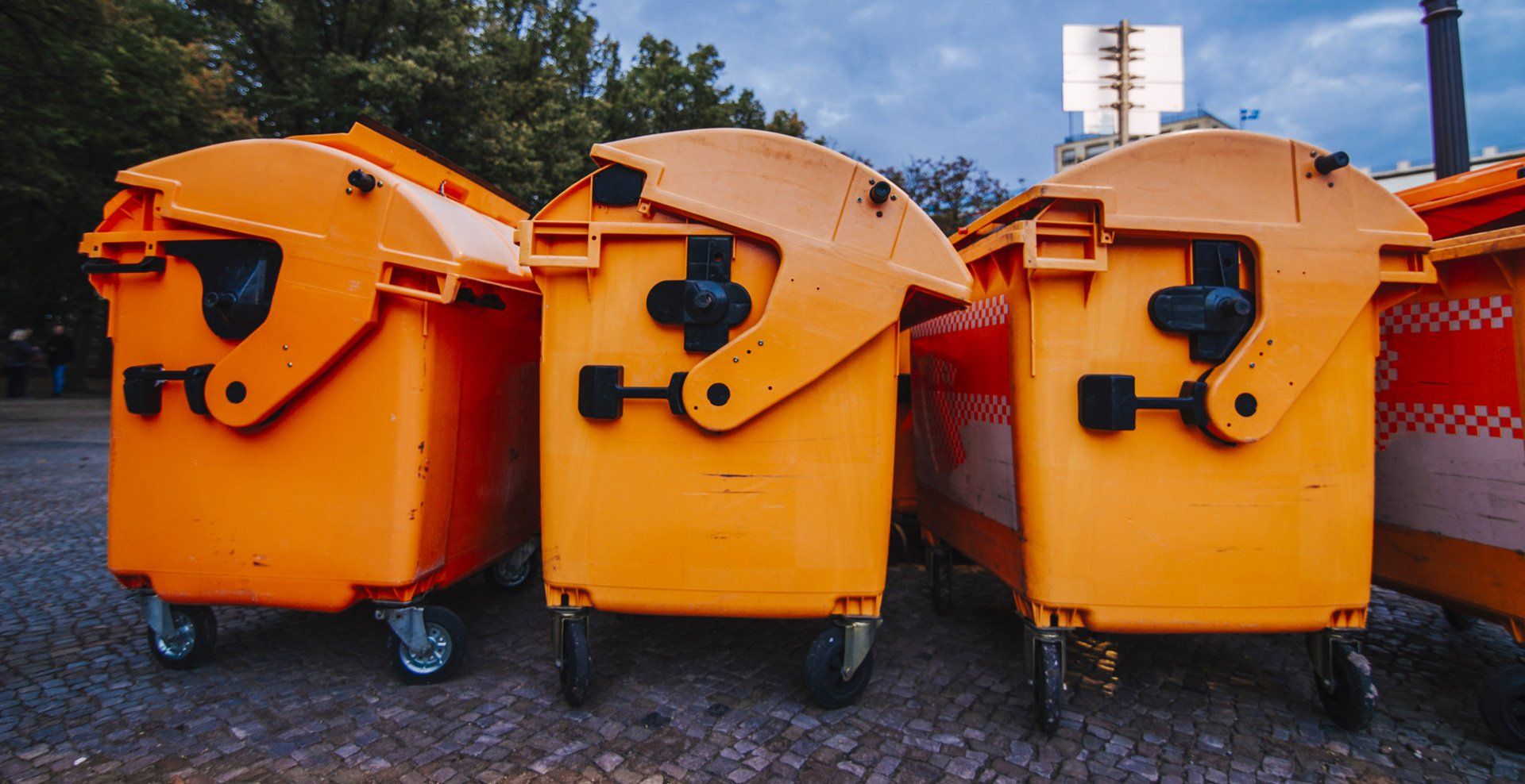 Bin