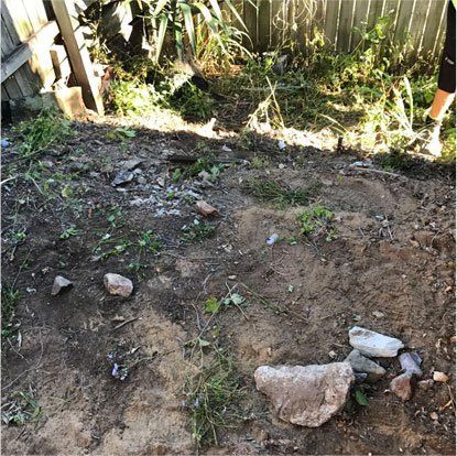 dirt and weeds