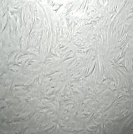 Glue Chip 1/4