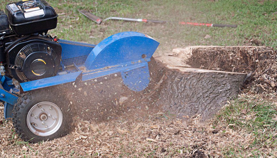 Effective stump grinding